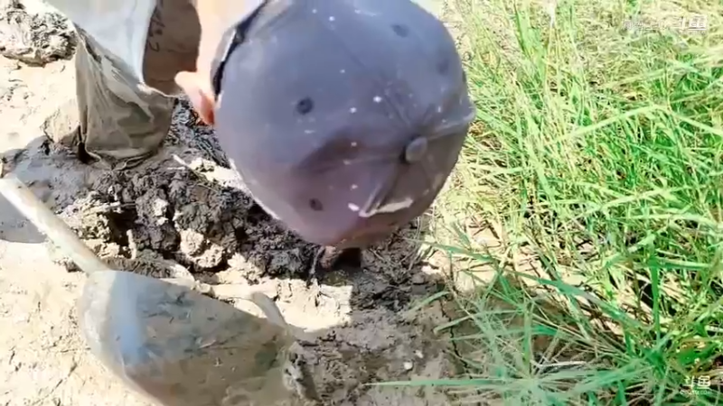 洪湖小肖直播_户外直播_斗鱼直播5