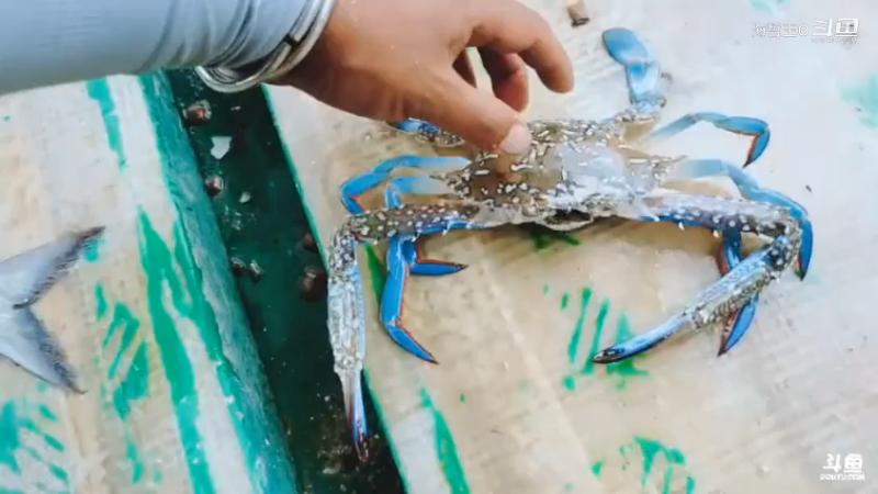 深山大咖直播_户外直播_斗鱼直播91