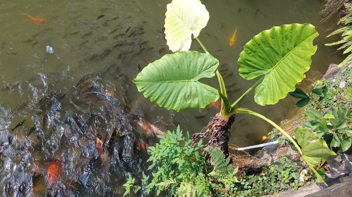 大家好，我是主播李景然