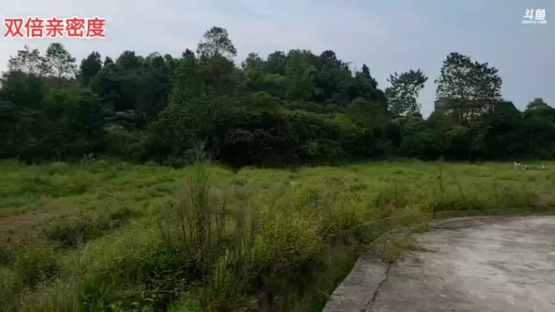 【2021-09-15 17点场】逐梦兄弟：美好的一天从十点开始