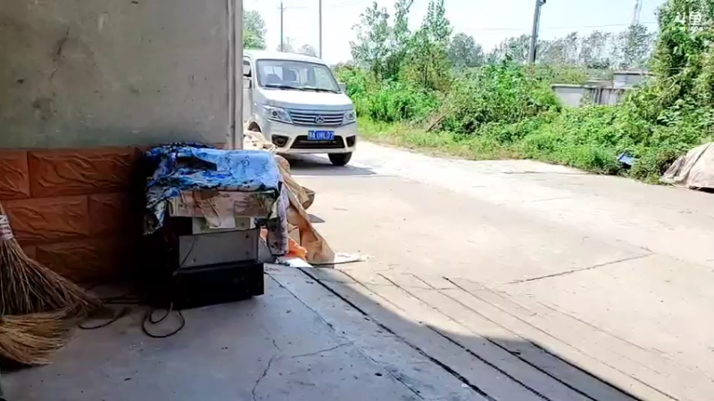 【2021-09-15 10点场】洪湖小肖：祝大强哥生日快乐！！