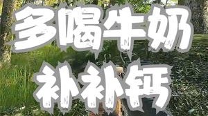 多喝牛奶，补补钙