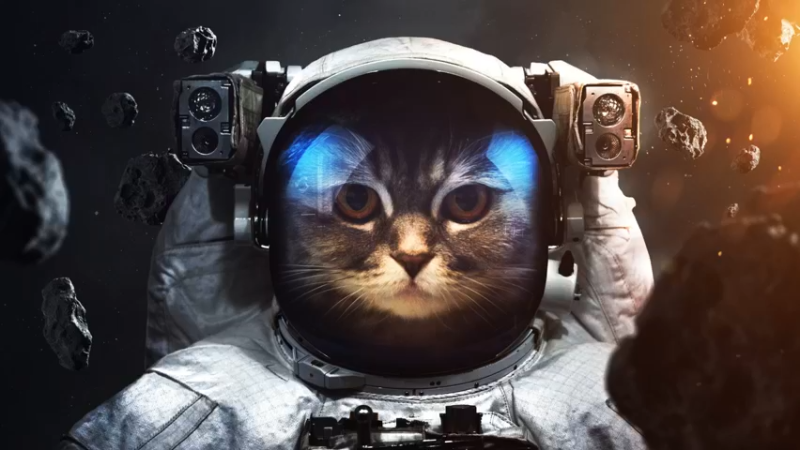 找寻互联网的记忆