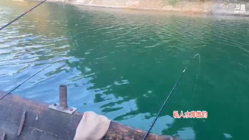 【2021-09-15 07点场】魅力生活i：看看早口怎么样