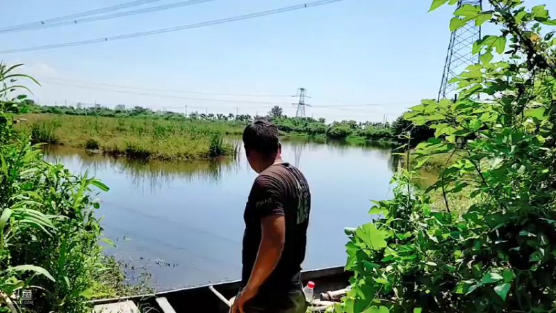 【2021-09-15 12点场】洪湖小肖：祝大强哥生日快乐！！