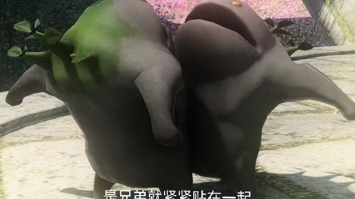 赛季末排位
