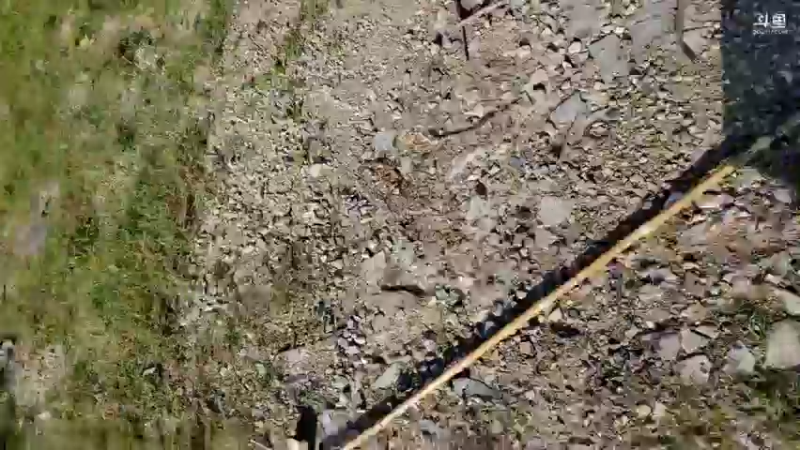 【2021-09-15 09点场】魅力生活i：看看早口怎么样