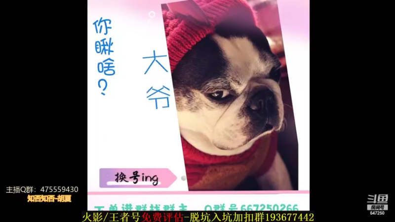 【2021-09-14 21点场】小马锅马杰：马锅：你画我歪走起。