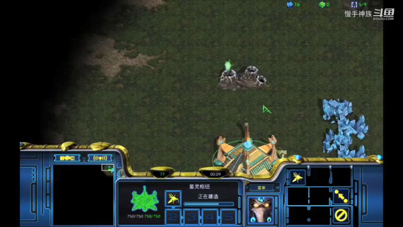 pvz水螅图2021-09-15..