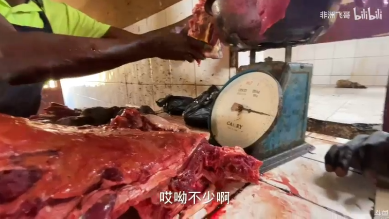 【2021-09-15 00点场】猫叔灬灬：【猫叔】25点看苹果发布会