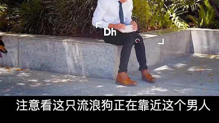 治愈系：热狗