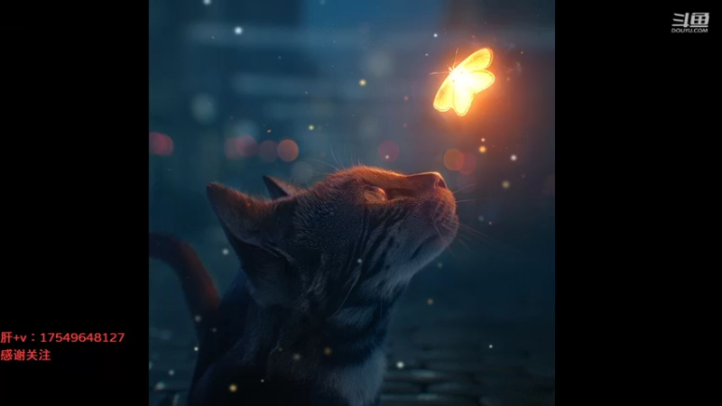 【2021-09-14 06点场】飞蛾小夏：飞蛾：国1，回来了