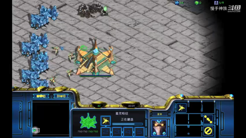 pvp天梯苯环2021-09-15