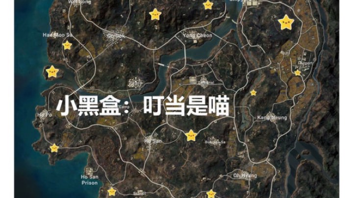 泰戈