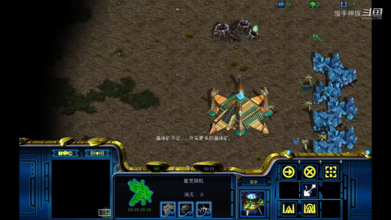 pvp水螅2021-09-16 16-44-03