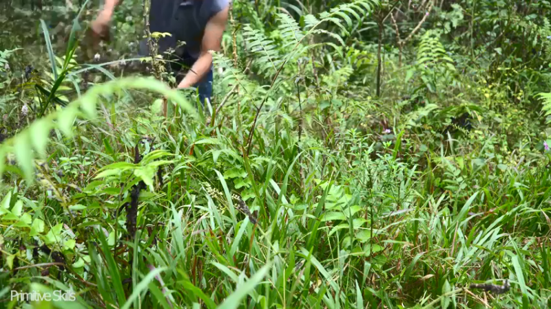 二基地 开荒了  一片纯洁之地 【真人我的世界-空手发展-单人炼铁】