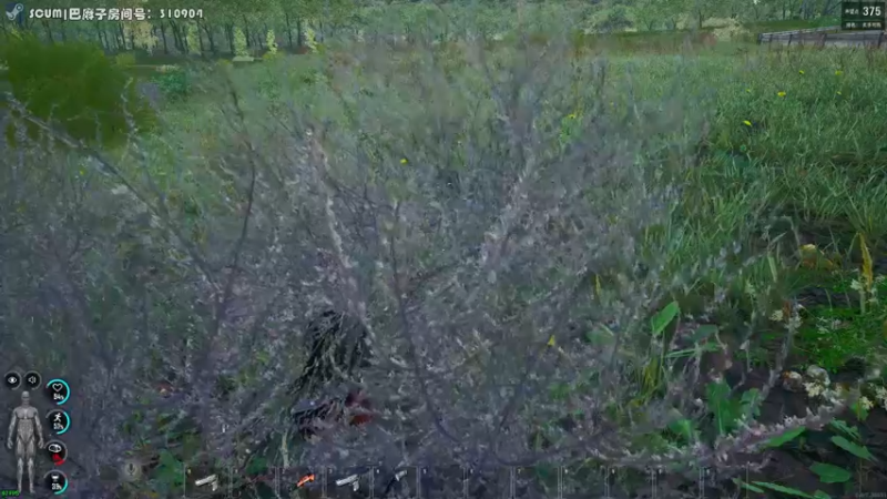 【2021-09-15 21点场】陶可可coco：[车/球/枪✓] · 祝您心明眼亮