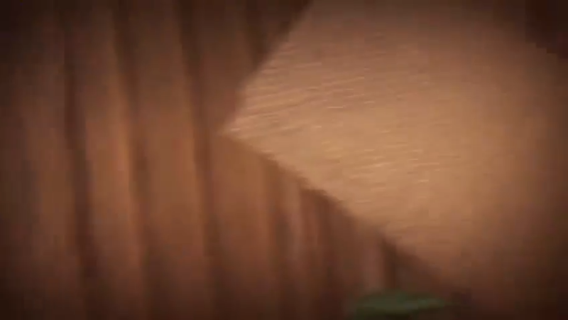 在线教学现捞卤菜