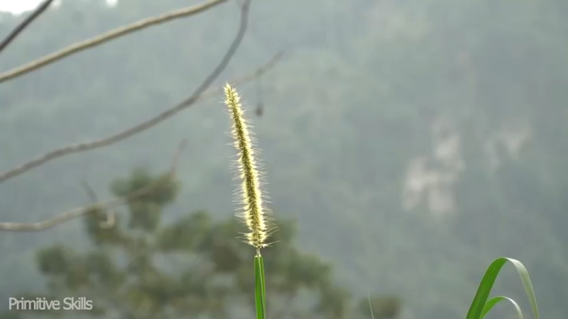 第二基地E52竹筒饭(1)【真人我的世界-空手发展-单人炼铁】