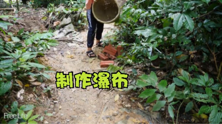 种的菜吃了6季了。看看这2年我都干了啥？