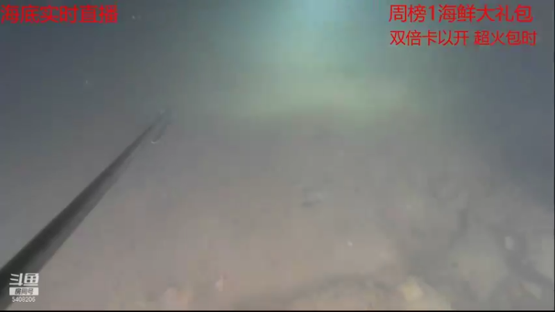 【2021-09-16 23点场】海道丶：海底直播 上巨物啦！！！