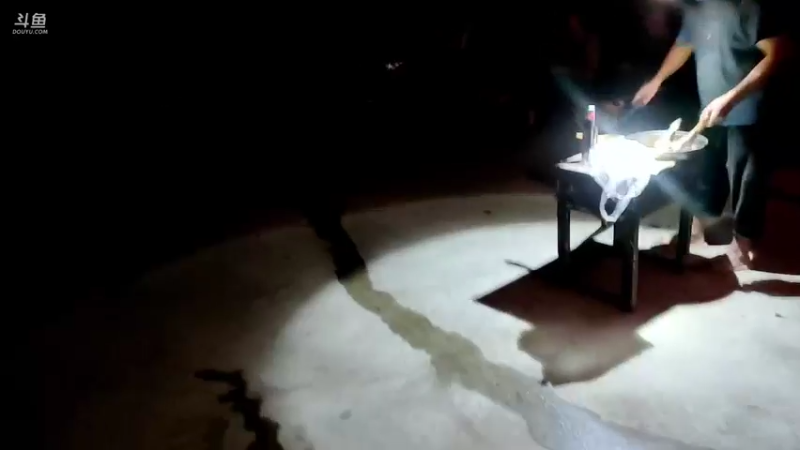 【2021-09-16 19点场】魅力生活i：烤羊腿，，聊会天。。