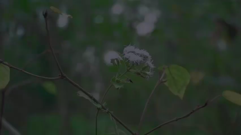 女生荒野原始技术展示1