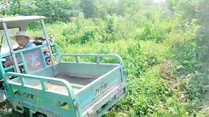 【2021-09-16 14点场】洪湖小肖：怼个大坑玩一下