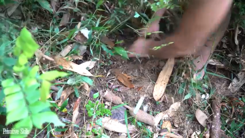 回顾2基地54木薯种植(3)【真人我的世界-空手发展-单人炼铁】