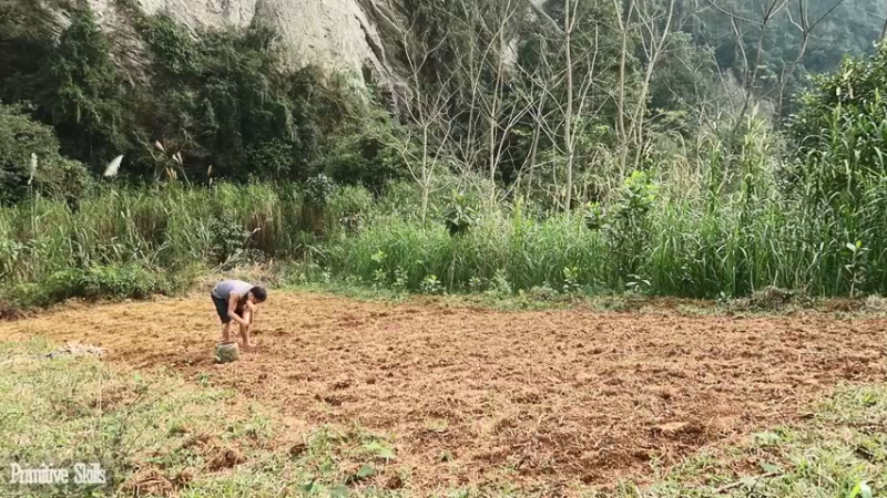 回顾2基地54木薯种植(6)【真人我的世界-空手发展-单人炼铁】