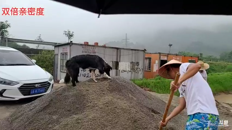 【2021-09-16 13点场】逐梦兄弟：9月16日，10点老地方