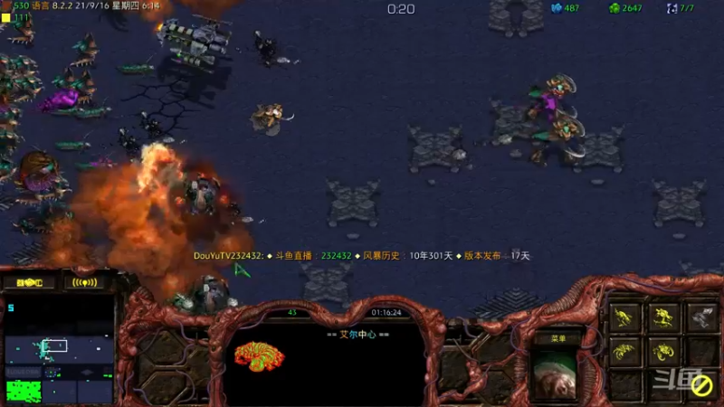 【2021-09-16 06点场】星际DSA联赛：天使風暴™️ 專業版