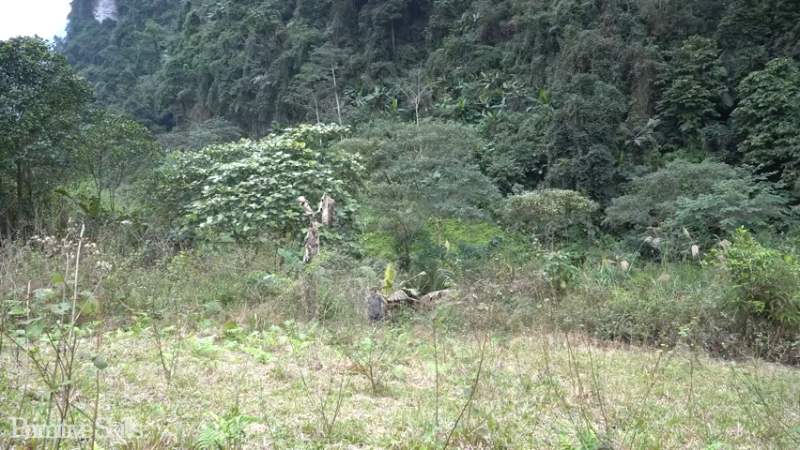 回顾2基地E53做菜园(3)【真人我的世界-空手发展-单人炼铁】