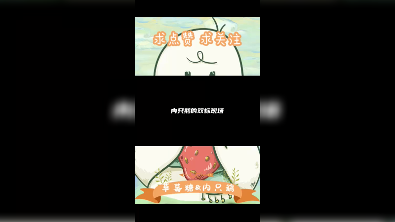 内只鹅的双标现场