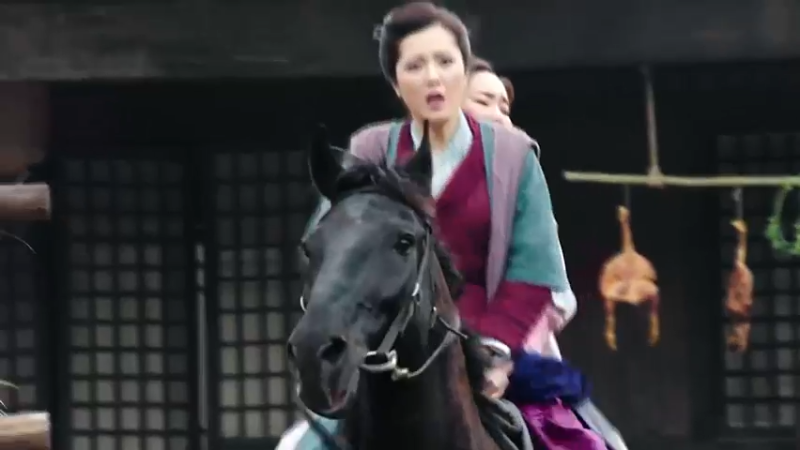 (9)bug统计 射雕英雄传H bug统计