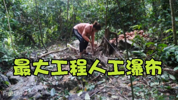 种的菜吃了6季了。看看这2年我都干了啥？