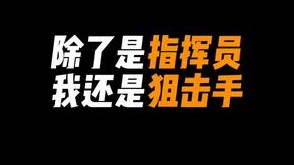 你们可能只知道我是指挥，我还有另一个身份wNv的二号狙击手