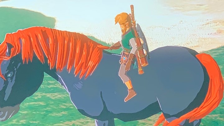 塞尔达传说之苟延残喘part3