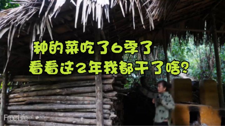 种的菜吃了6季了。看看这2年我都干了啥？