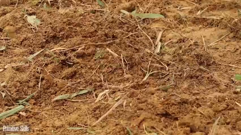 回顾2基地54木薯种植(5)【真人我的世界-空手发展-单人炼铁】