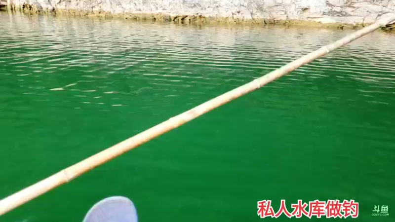 【2021-09-17 15点场】魅力生活i：定个小目标10斤鳜鱼