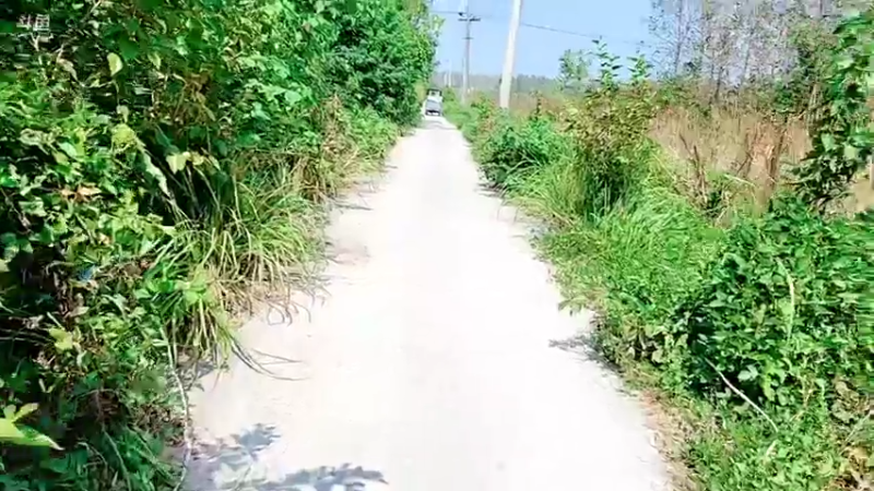 【2021-09-17 10点场】洪湖小肖：怼个大坑玩一下