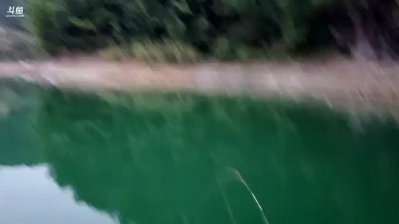 【2021-09-17 18点场】魅力生活i：今天鳜鱼翘嘴疯狂出货