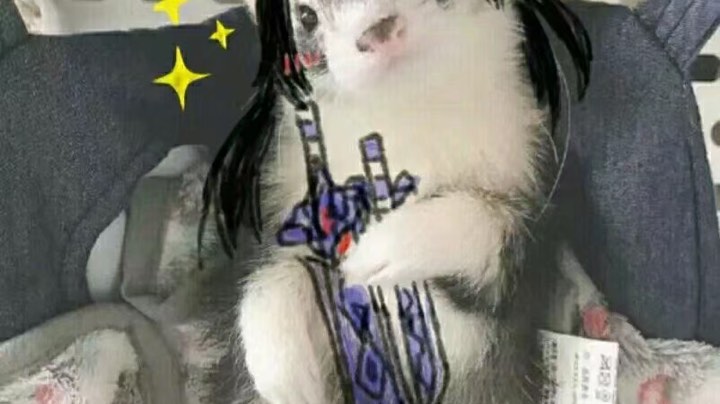 霸刀挨打日记