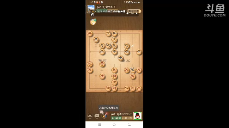 棋牌游戏