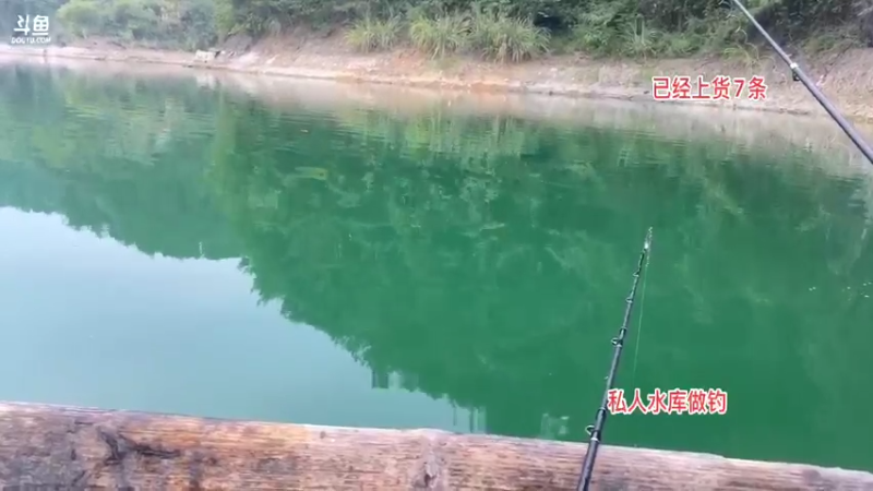 【2021-09-17 17点场】魅力生活i：钓翘嘴疯狂出货