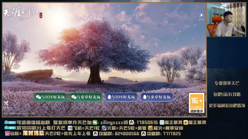【2021-09-17 15点场】魔王紫灵：紫灵:下午打单人天芒