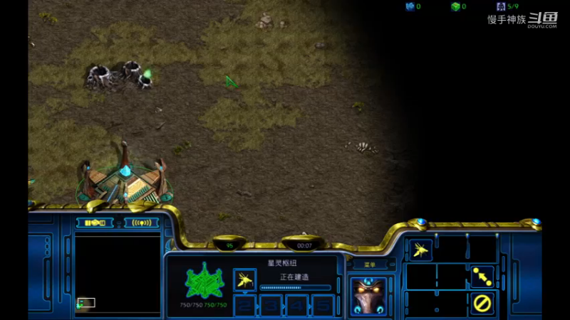 天梯pvz一波没了2021-09-17v