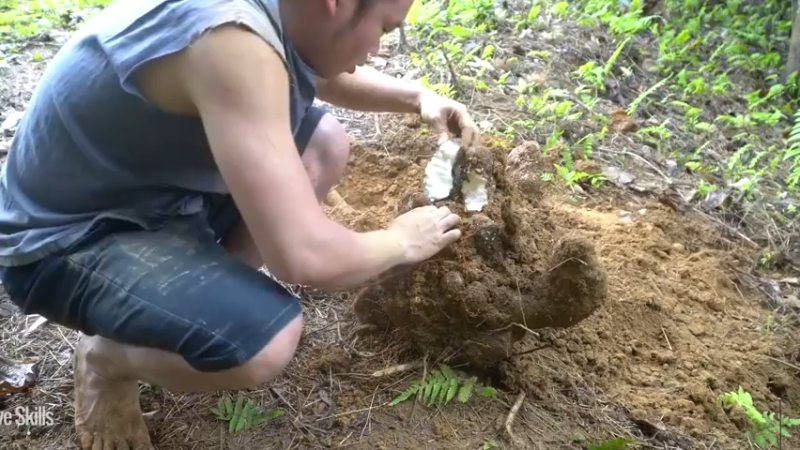 二基地第65天新房墙壁12《如果你一无所有 进入单人我的世界，自由荒野 离网乐园 全手工制作耕种 快乐野外生活 》