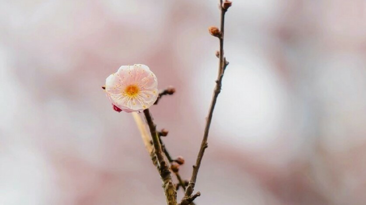 0912。03点